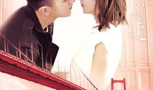 比较火的电视剧,揭秘黑帮风云，正义与邪恶的较量