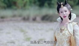 九尾狐电视剧大全,穿越时空的奇幻之旅