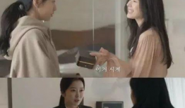 电视剧安娜,爱恨交织的复仇传奇